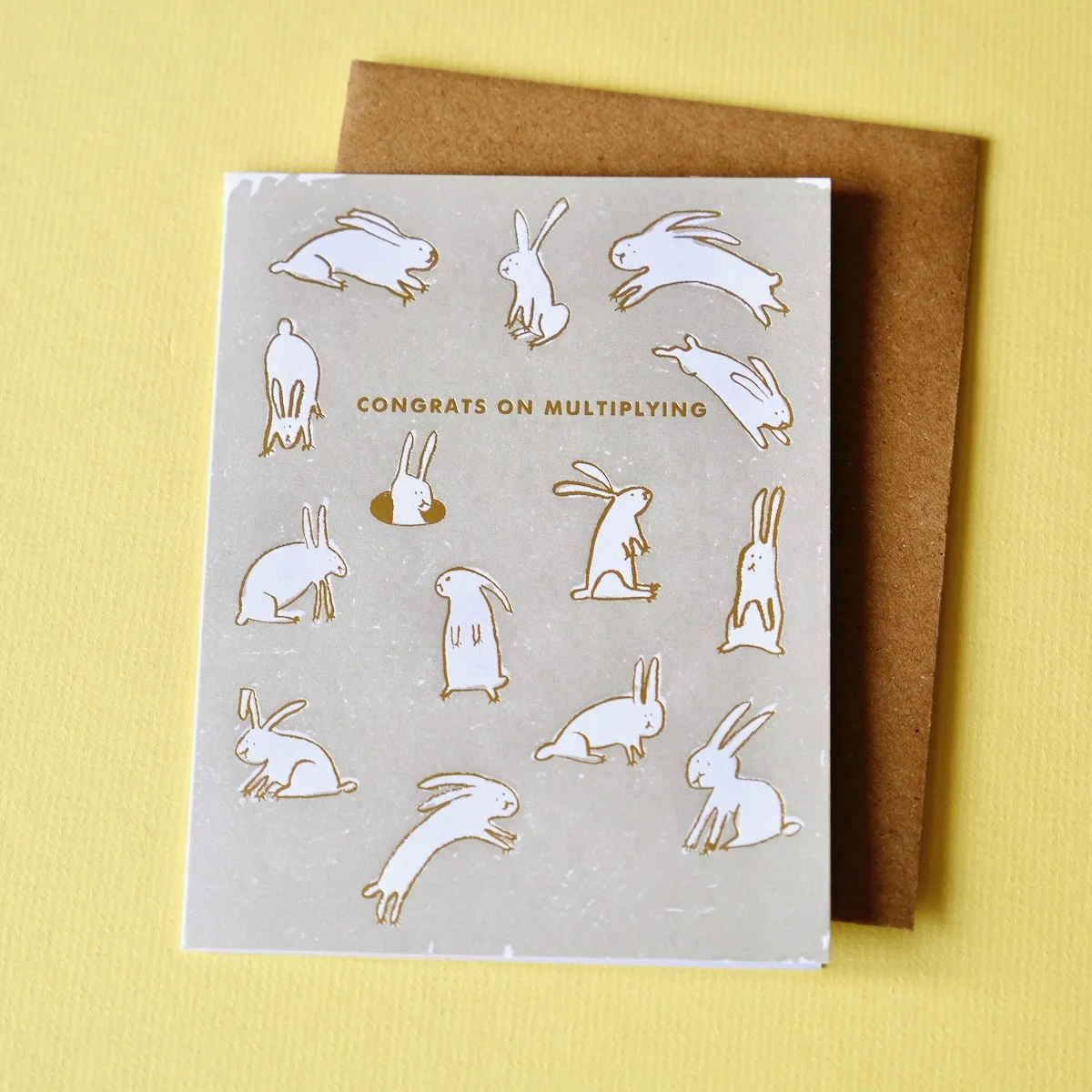 Carte Naissance Lapins - Organisation de la maison avec des solutions de rangement - {'count': 1, 'name': 'Paillettes'}