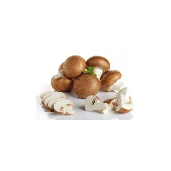 Champignon crème Pologne Cat 1 les 250g - Vins Rouges Harmonieux pour Chaque Occasion Sangre de Toro Original DO - Miguel Torres acheter - vinello.fr