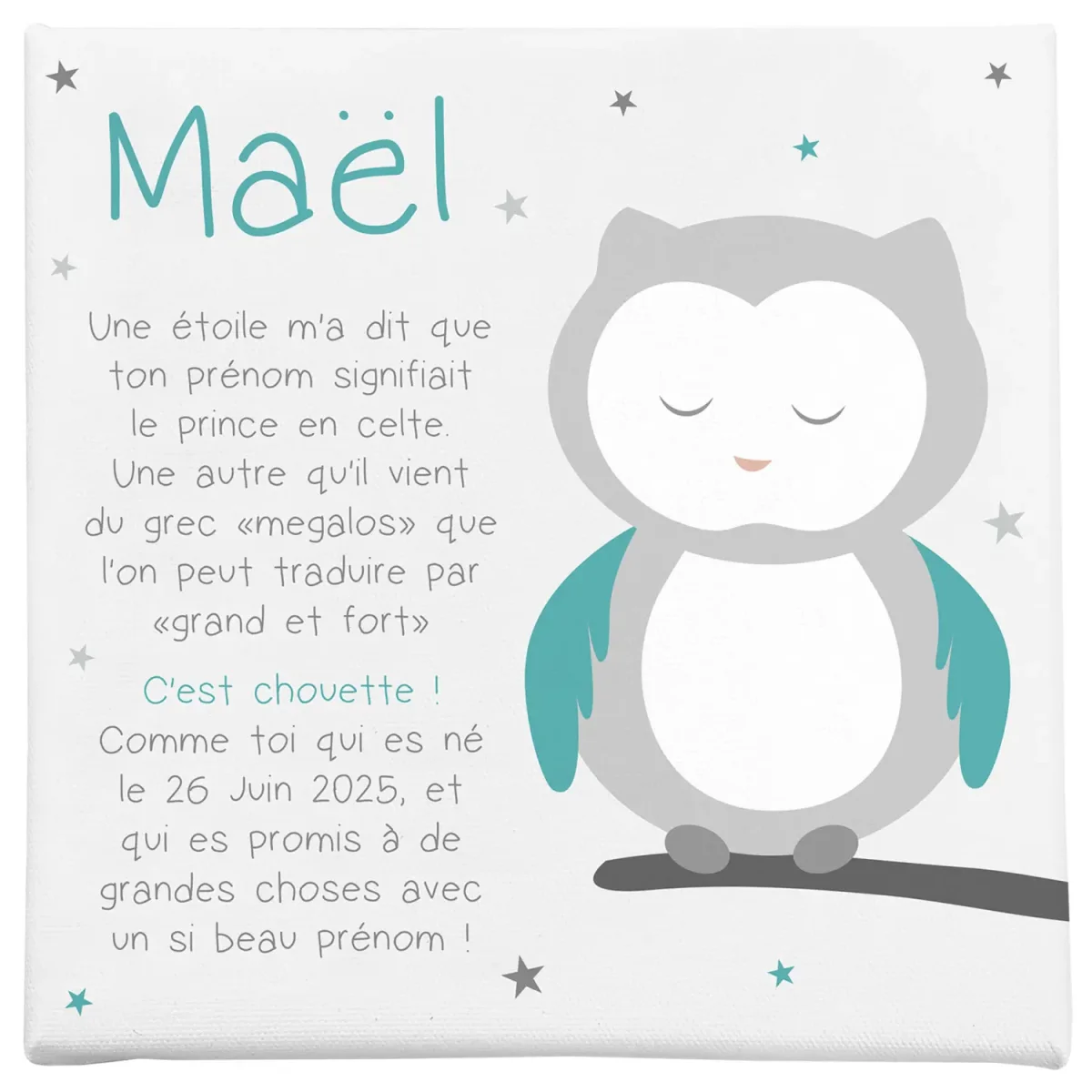 Origine du prénom racontée par bébé hibou sur un joli cadre - Boutique Bébé en Ligne : Soins, Jouets et Articles Maison - {'count': 1, 'name': 'Méli'}