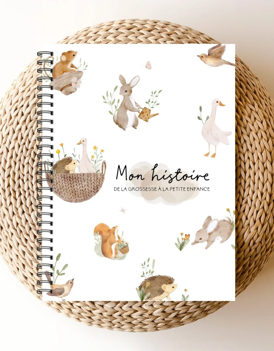 Livre grossesse bébé petite enfance petits copains forêt Rainbows amp Lollipops Boutique Maman Bébé Produits Essentiels Quotidien