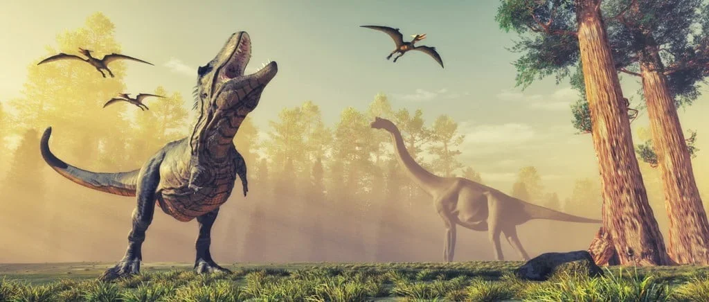 murale Dinosaures Saldi Straordinari Offerte Speciali Disponibili Adesso