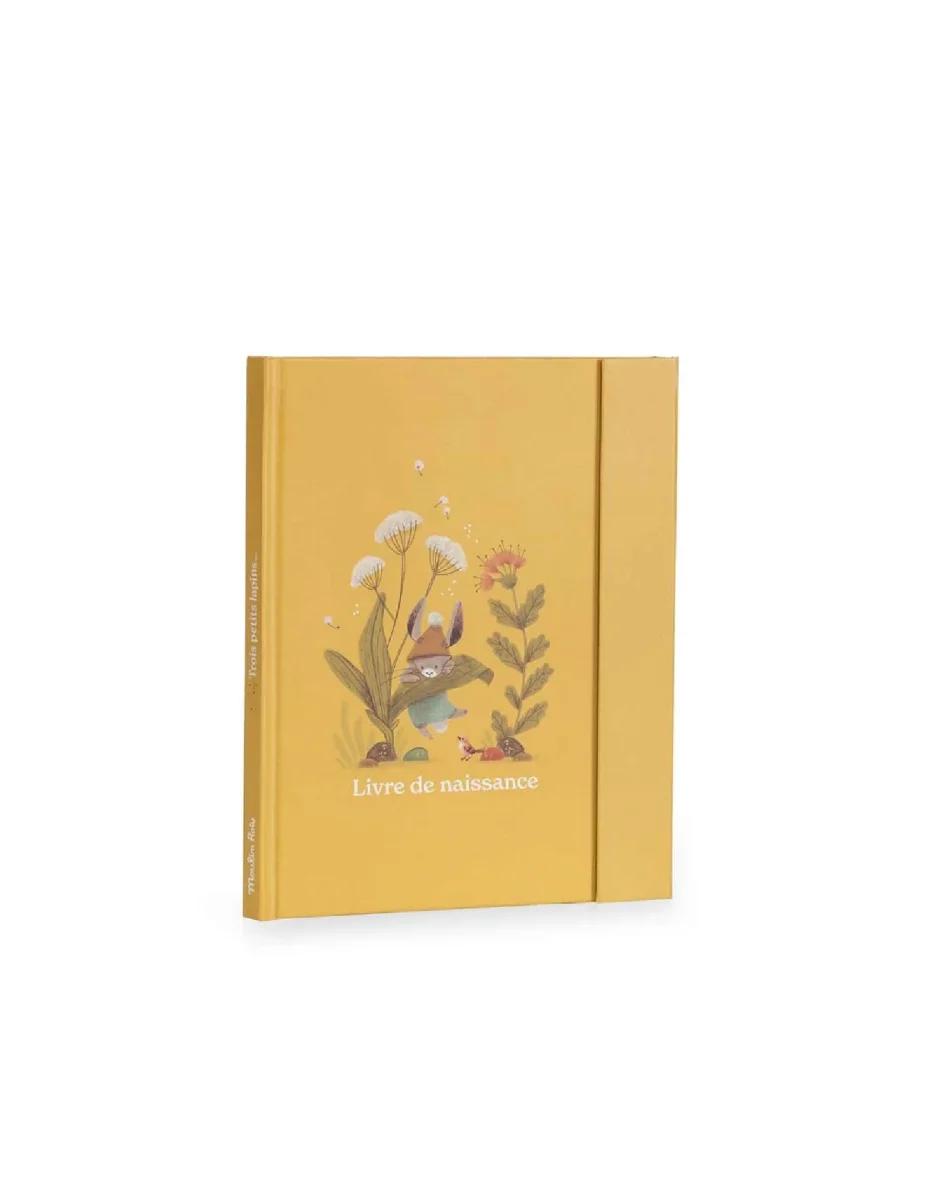 Livre naissance petits Lapins Moulin Roty Boutique Maman Bébé Produits Essentiels Quotidien