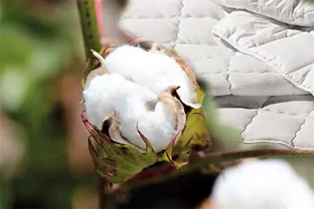 Couette Bébé de qualité en coton bio - Organisation de la maison avec Stockage des solutions de rangement