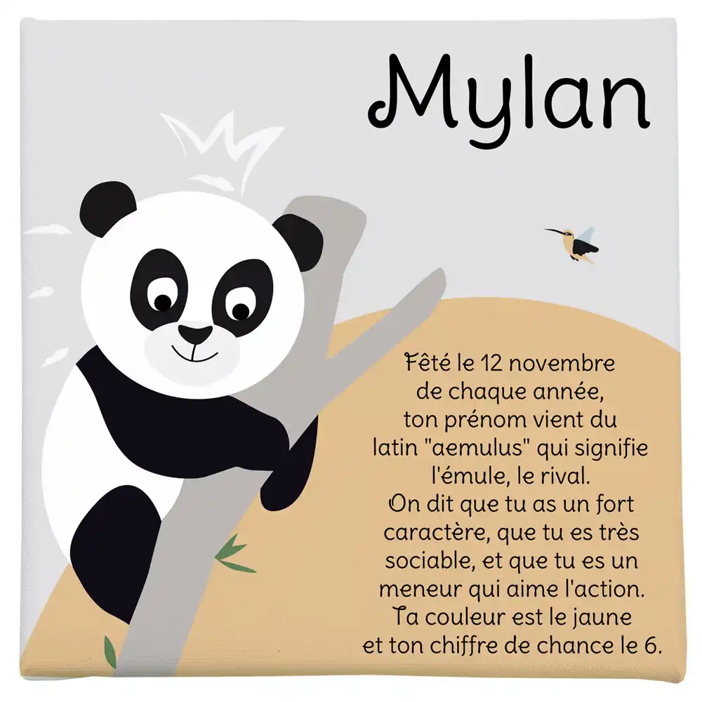 Petit panda origine prénoms jolie toile Boutique Bébé Ligne Soins Jouets Articles Maison