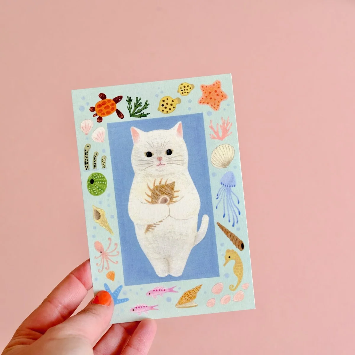 Carte Chat Blanc Coquillages Organisation maison solutions rangement