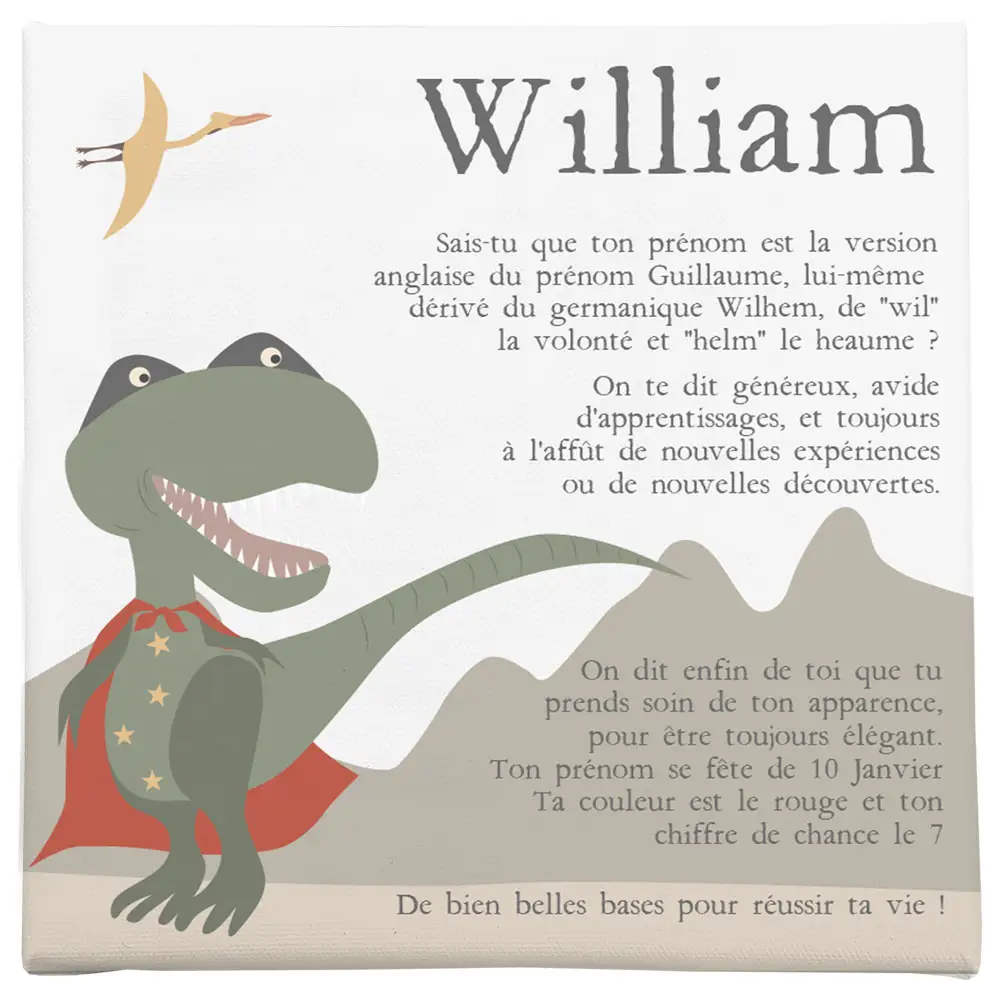 Toile prénom personnalisée – Tyrannosaure dinosaure - Boutique Bébé en Ligne : Product Soins, Jouets et Articles Maison