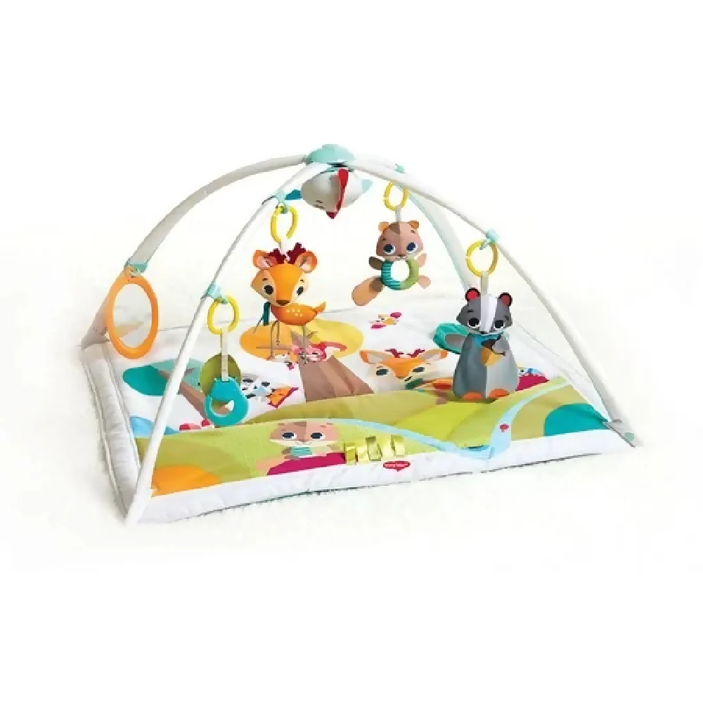 Tapis d'éveil - Boutique Maman & Bébé – Produits Essentiels au Quotidien Tapis d'Eveil évolutif multifonction 5-en-1 rose - 35 balles incluses, 12  jouets et 20 minutes de musique et lumières