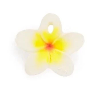 Oli & Carol - Chewy-To-Go - Fleur Hawaienne||Oli & plante Carol - Chewy-To-Go - Hawaii the Flower - Boutique Bébé en Ligne : Soins, Jouets et Articles Maison