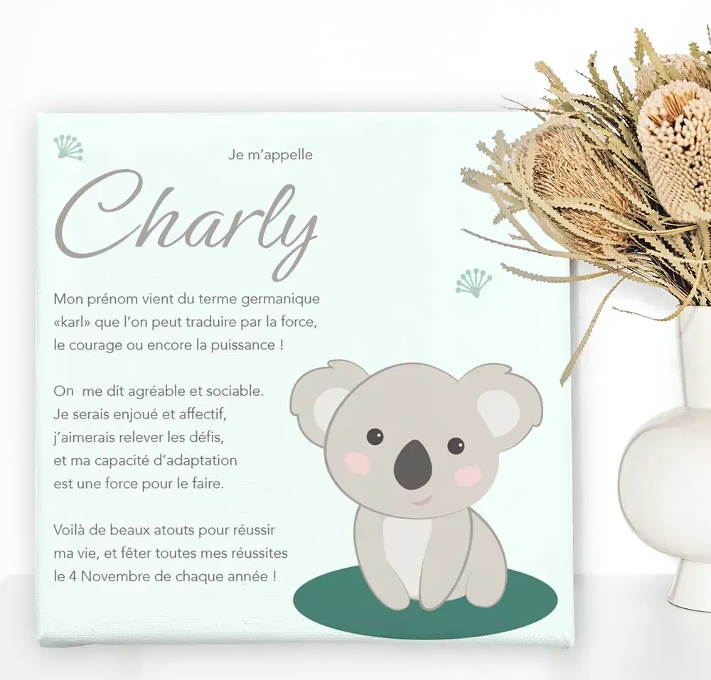 Toile origine et caractère prénom sur le thème du koala - Boutique Bébé en Ligne : Soins, Jouets et Articles Maison - {'count': 1, 'name': 'Liens'}